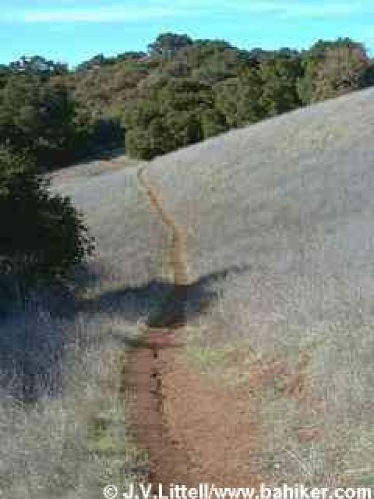 Trail through grassland