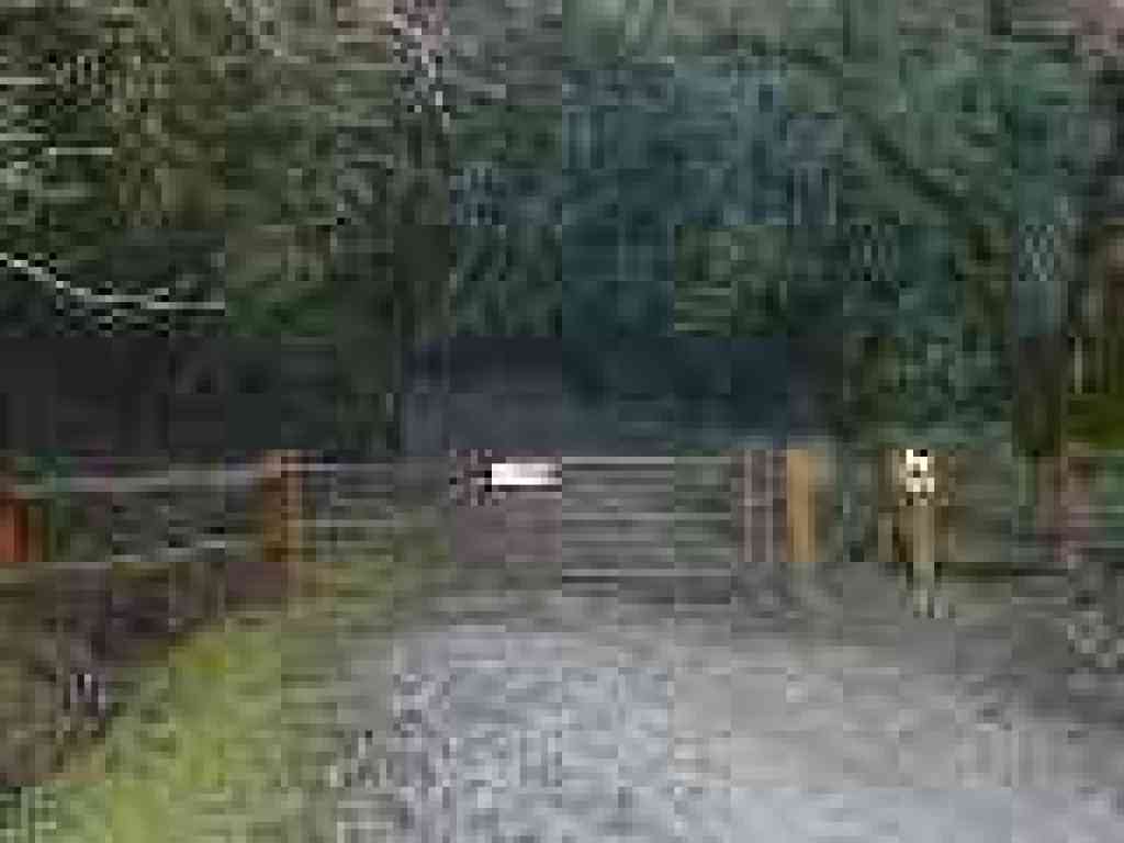 Gate