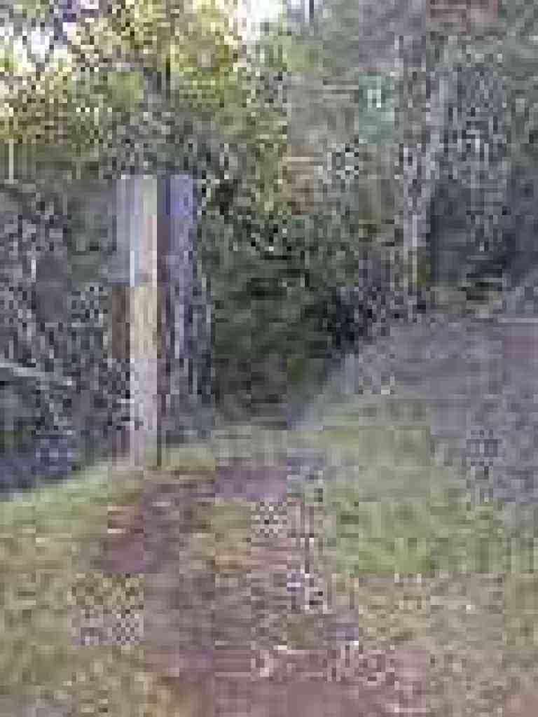 Side Trail