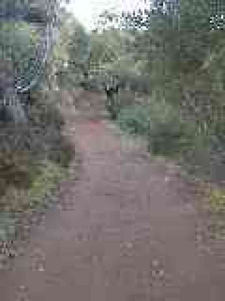 Steeper