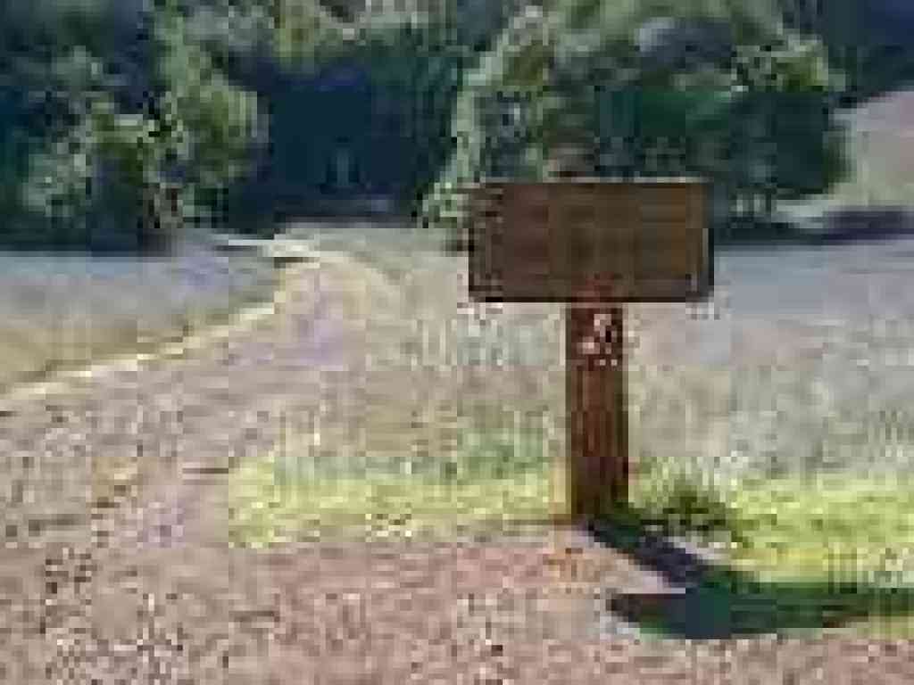 Junction