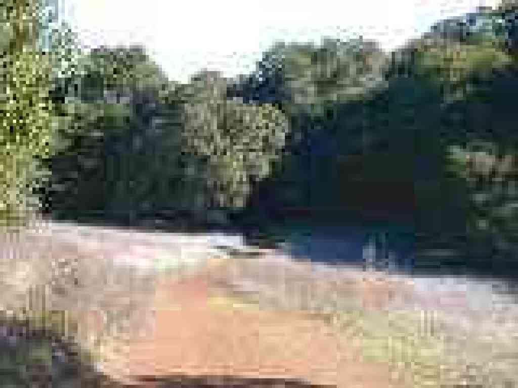 Trail to windmill site