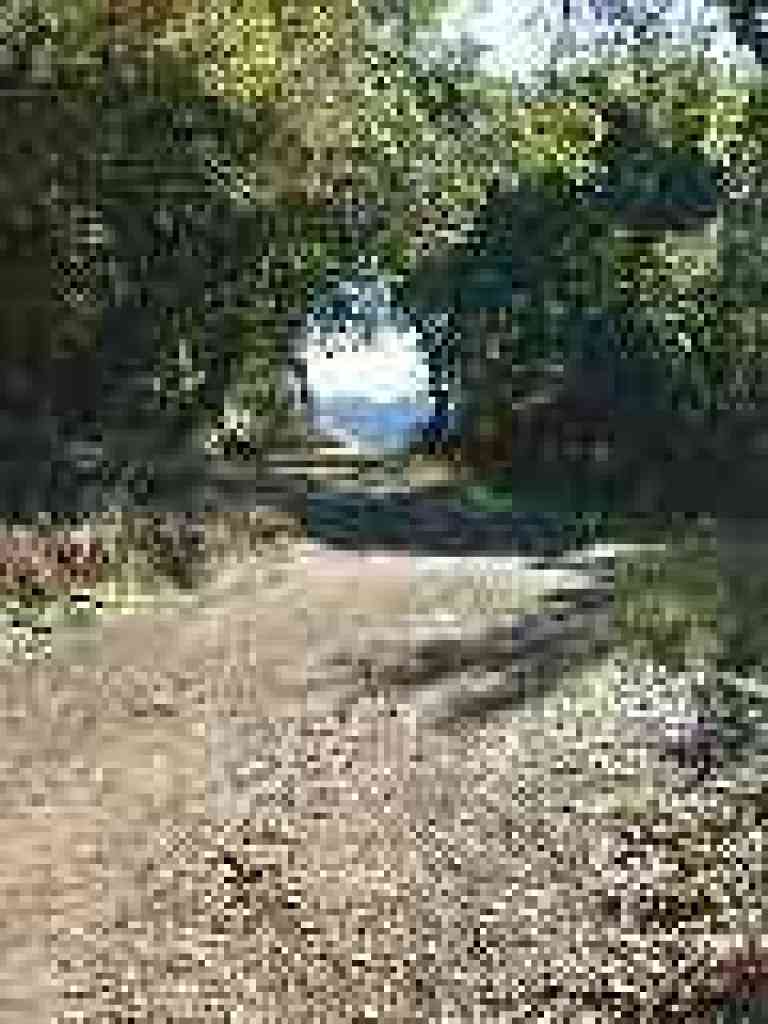 Chamise Trail