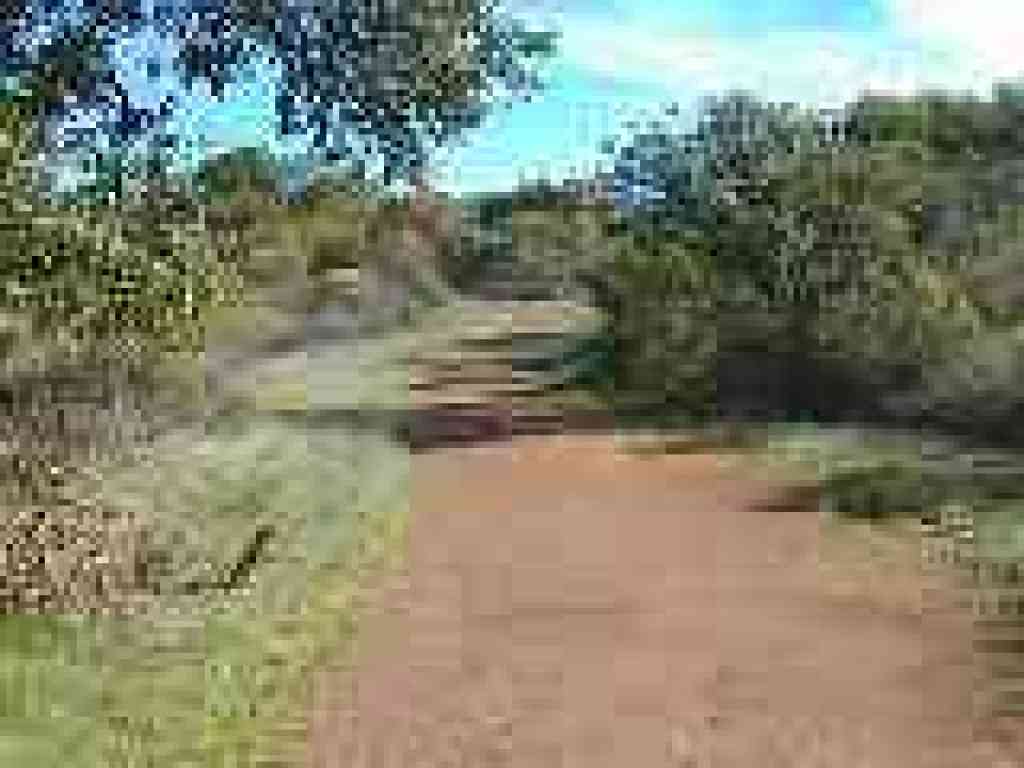 Chamise Trail