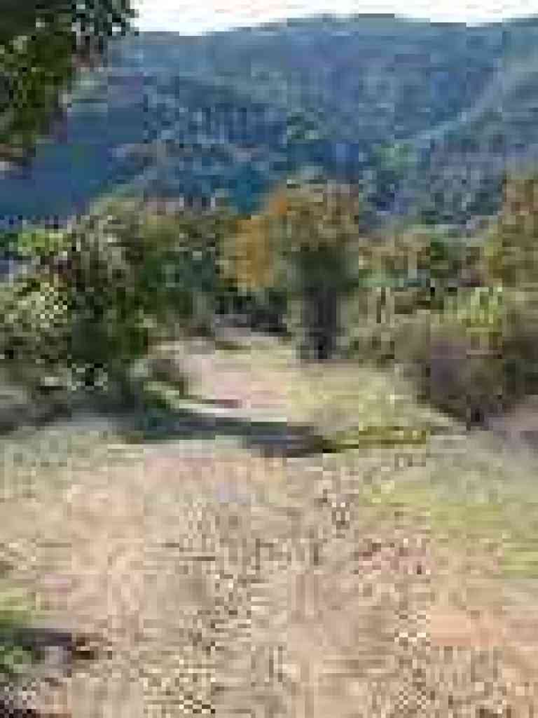Chamise Trail