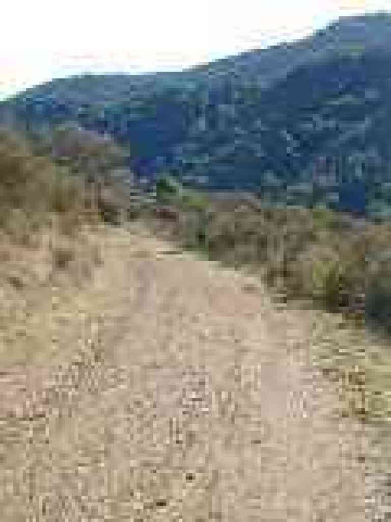 Downhill