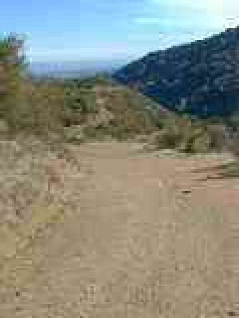 Chamise Trail