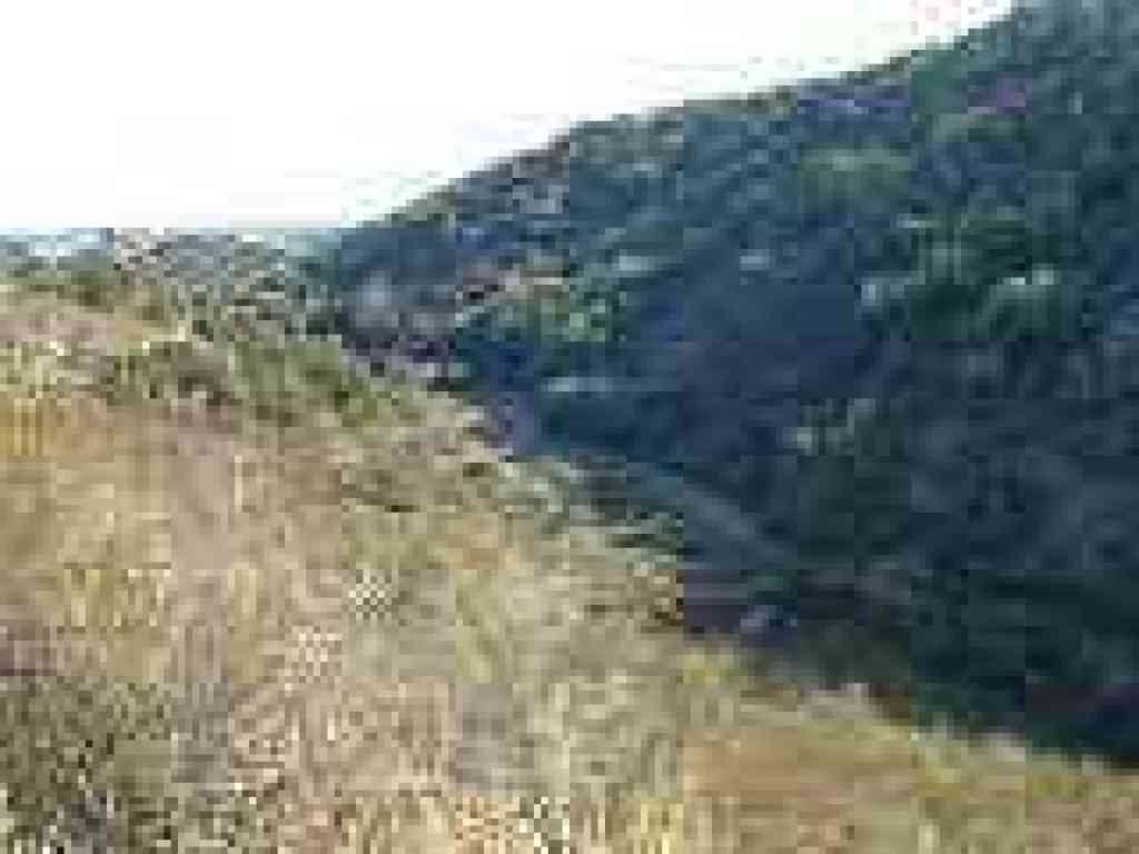 Looking down to the canyon