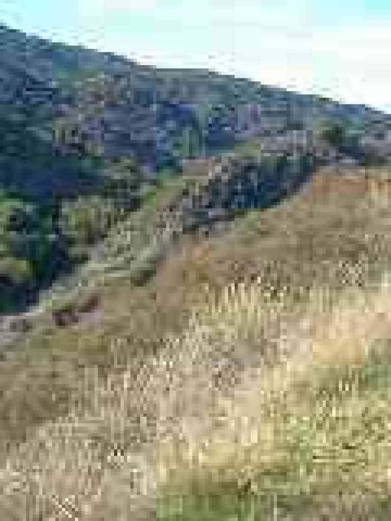 Ridge