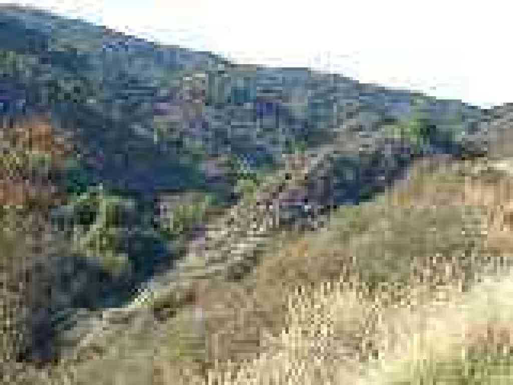 Ridge