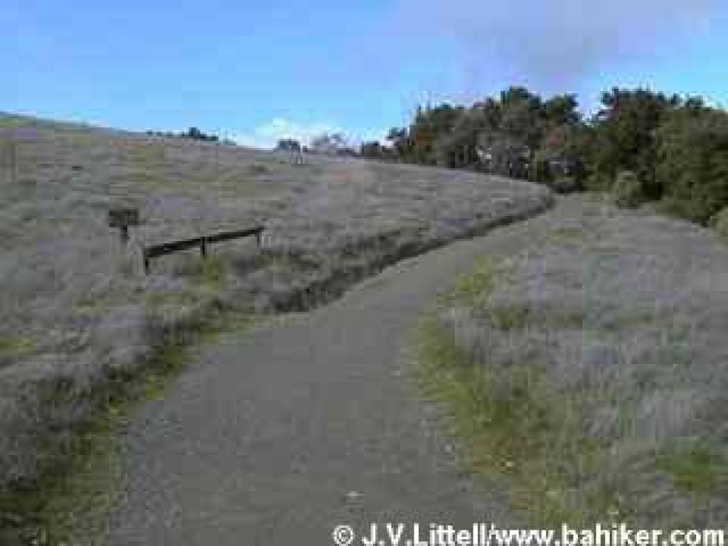 Photo of High Meadow Trail