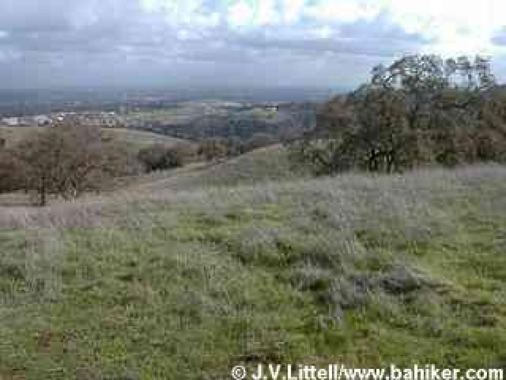 Photo of view south from High Meadow Trail