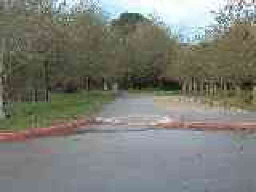 Photo of start of trails