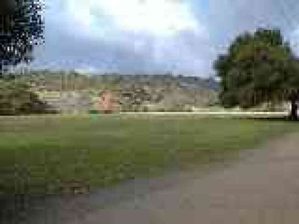 Photo of meadow at Rancho San Antonio