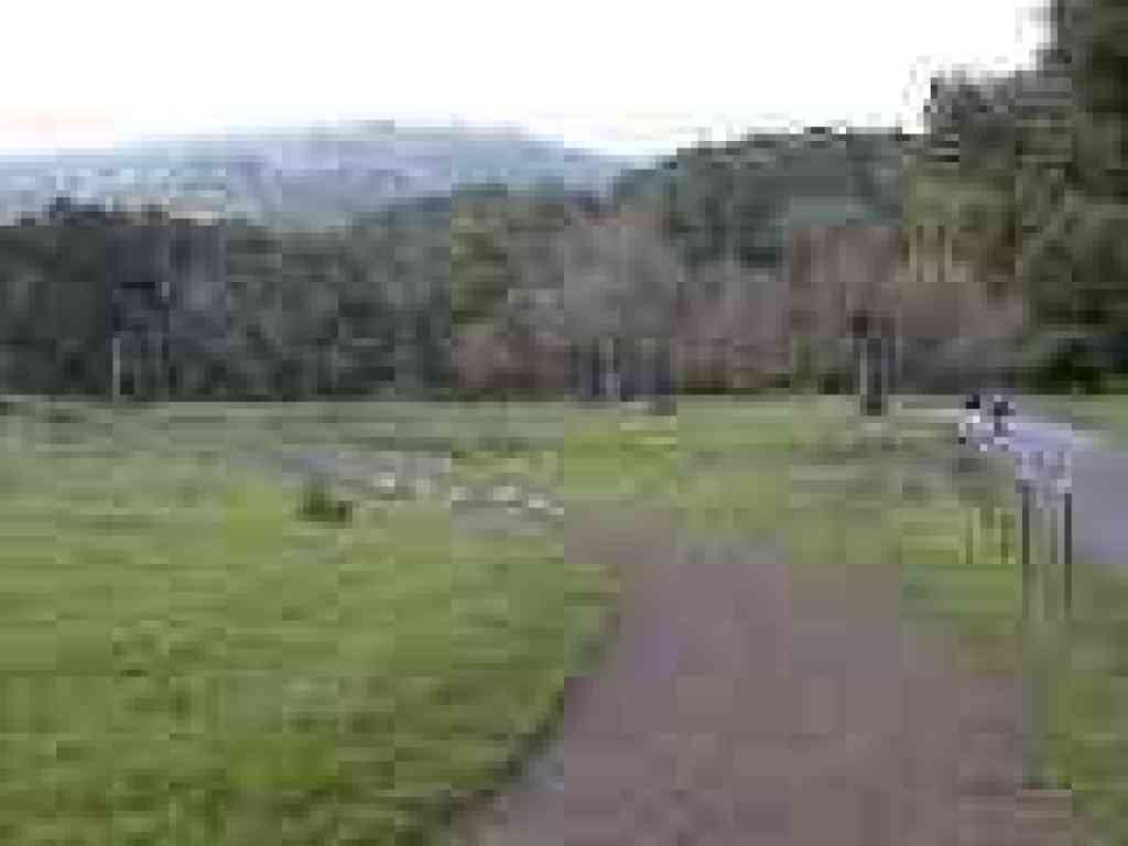 Photo of Lower Meadow Trail