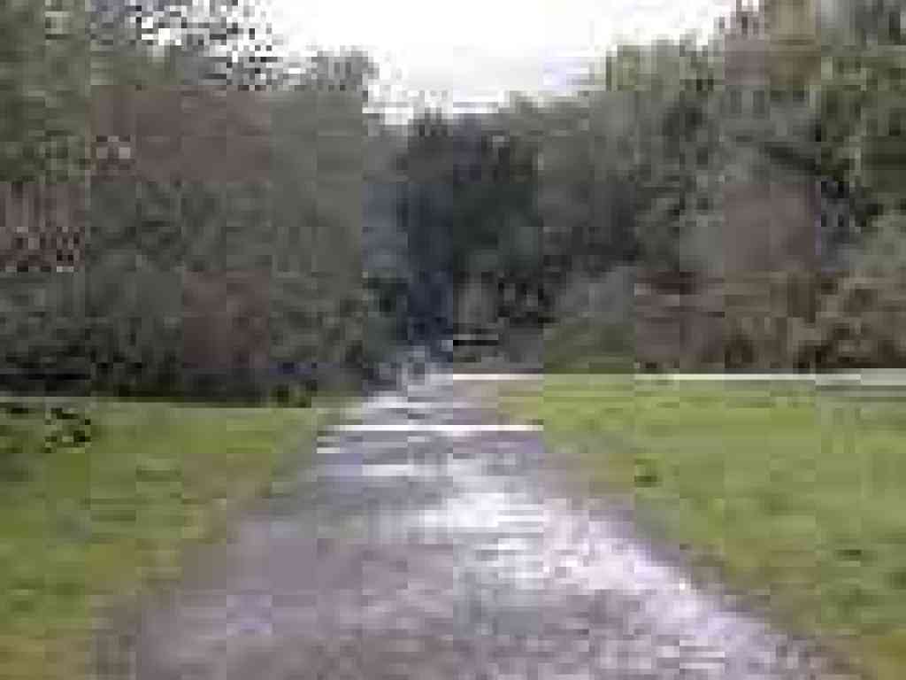 Photo of junction with paved trail/road