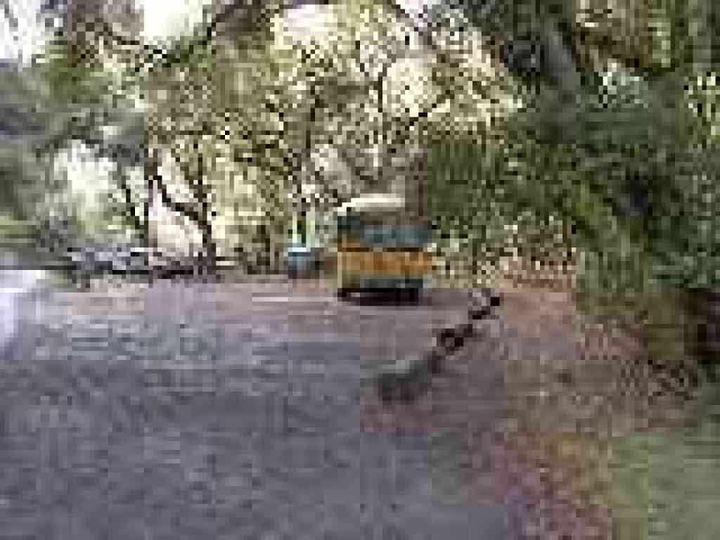 Photo of by-permit parking area