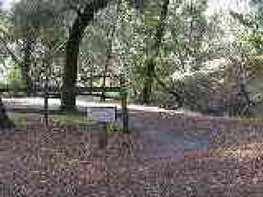Photo of the resumption of the trail