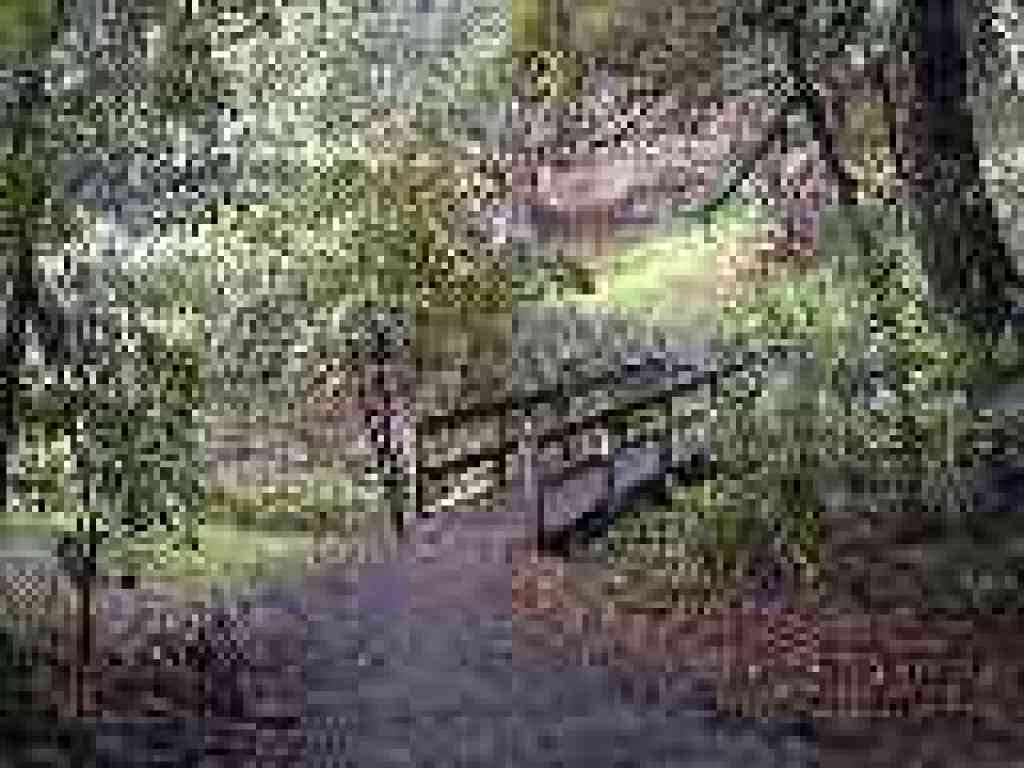Photo of bridge