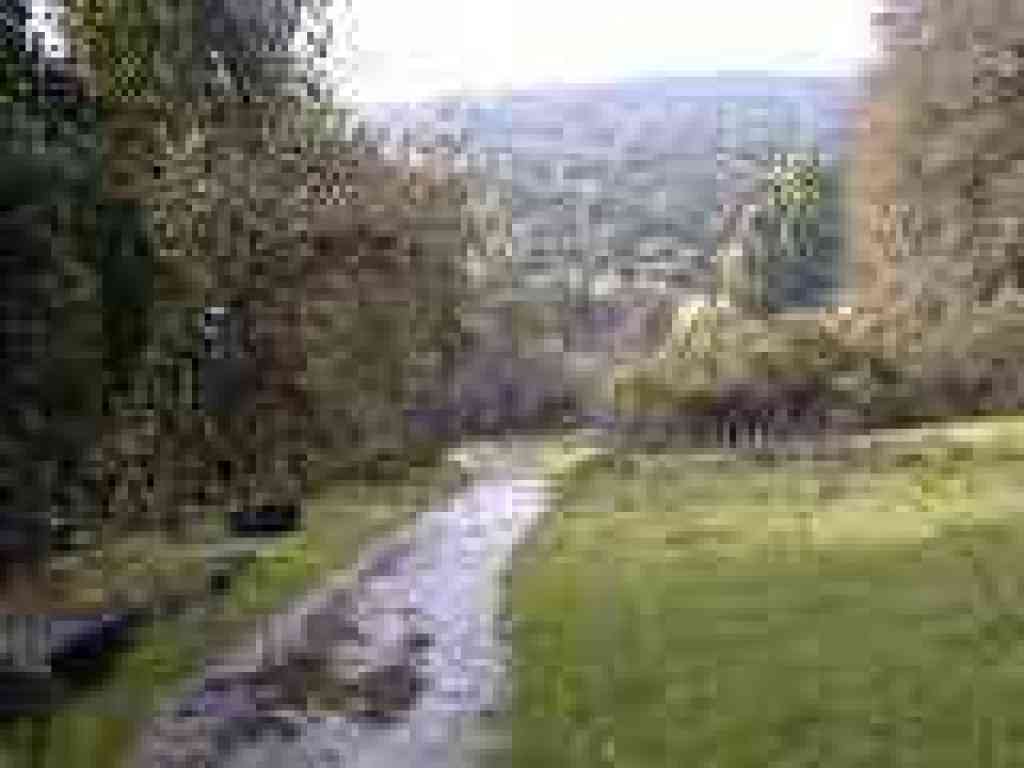 Photo of Lower Meadow Trail