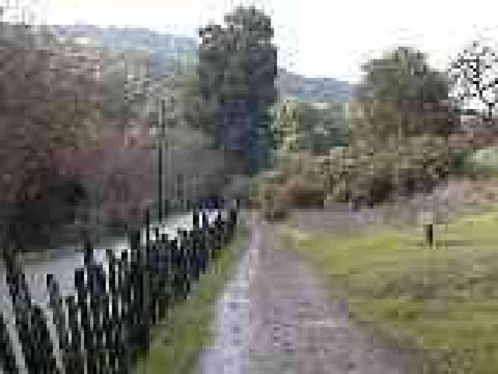 Trail runs parallel to road