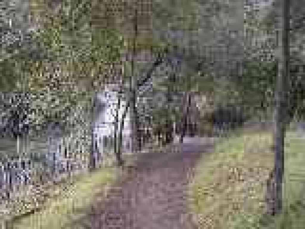 Photo of Lower Meadow Trail
