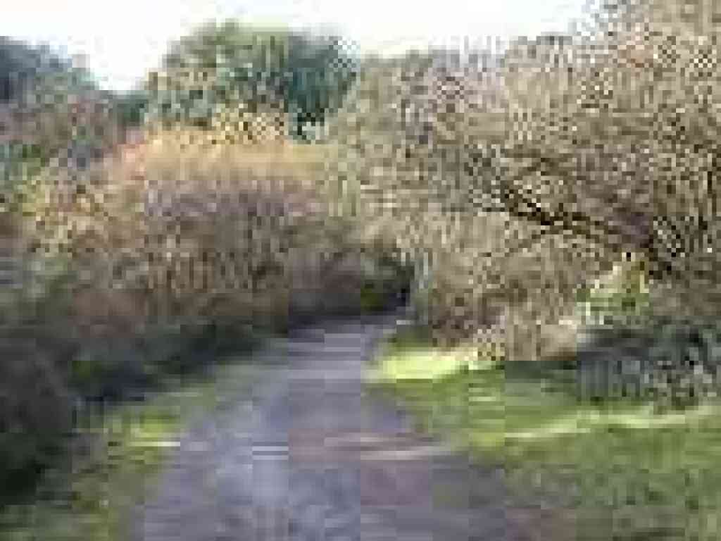 Photo of trail west of Deer Hollow Farm
