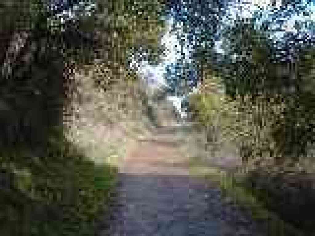 Photo of High Meadow Trail