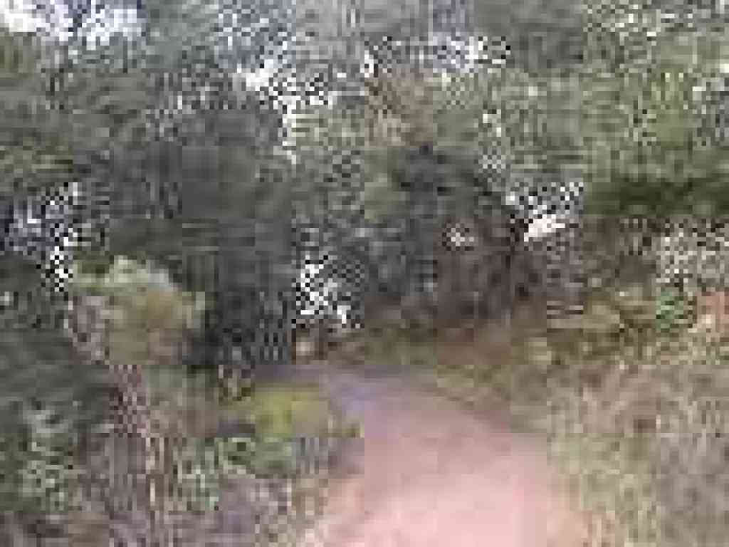 Photo of High Meadow Trail