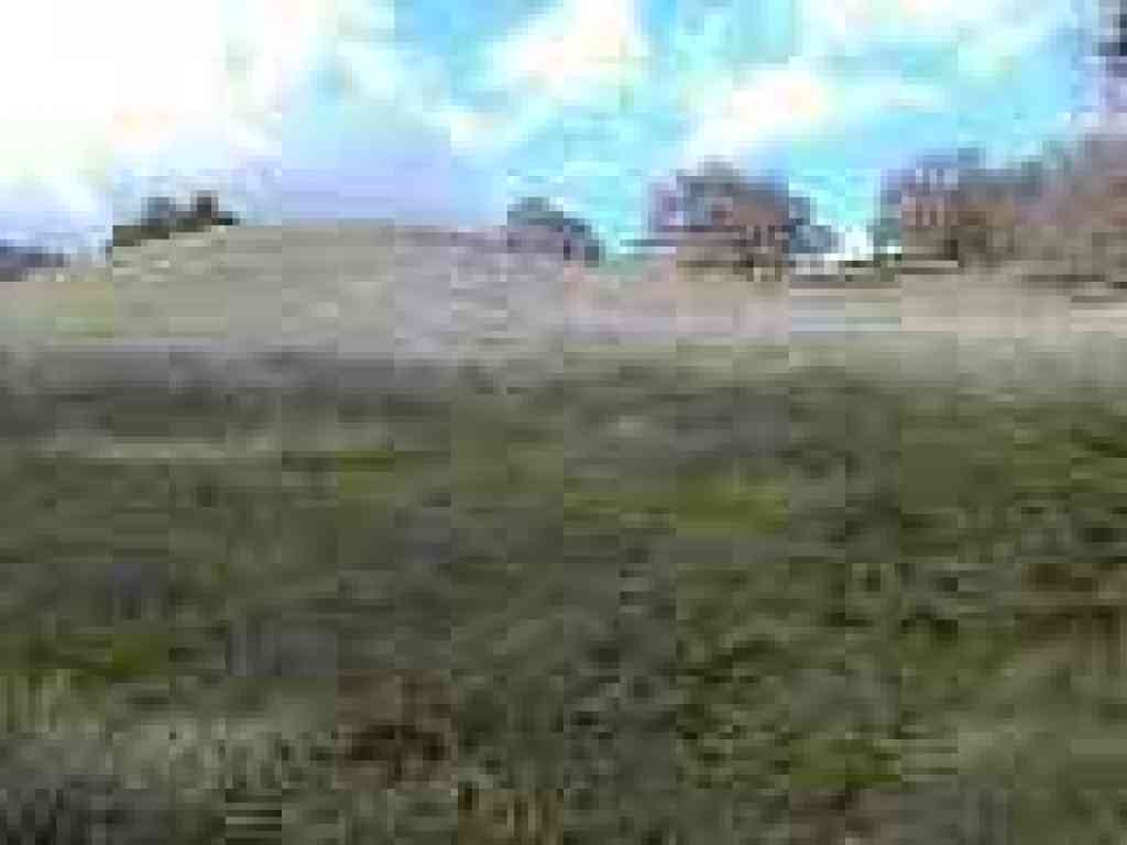 Photo of grassy knoll