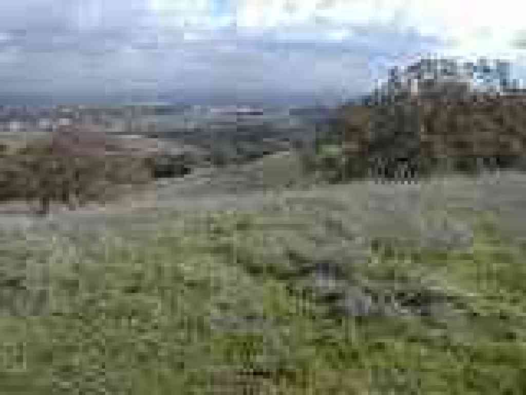 Photo of view