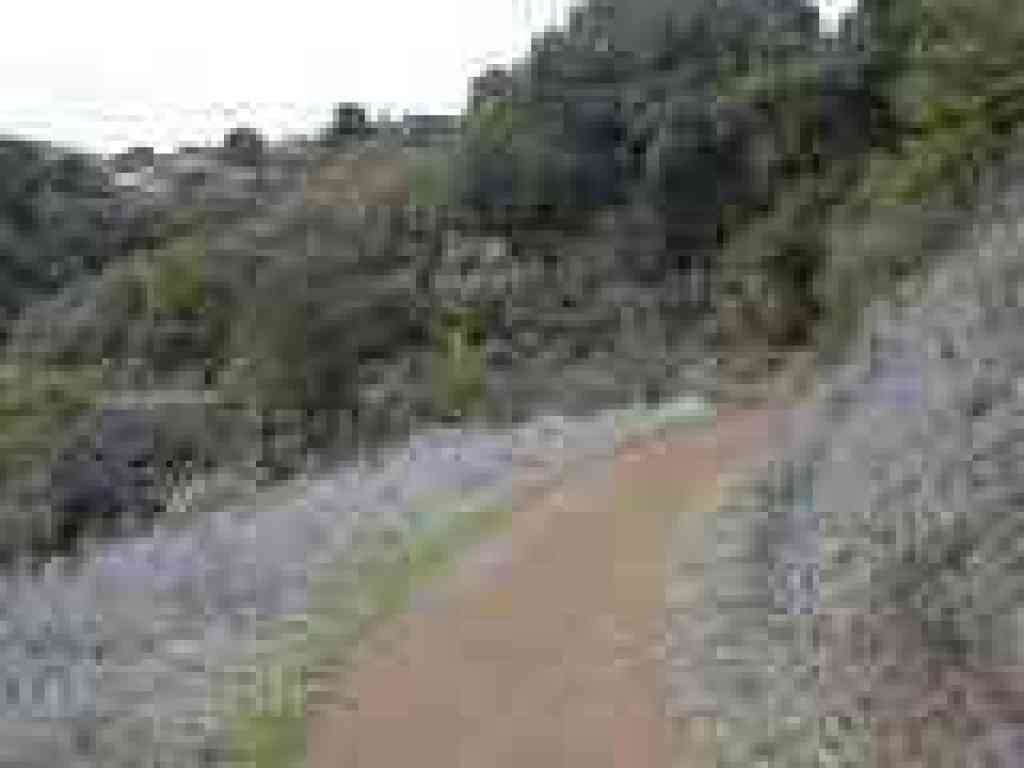 Photo of Upper High Meadow Trail