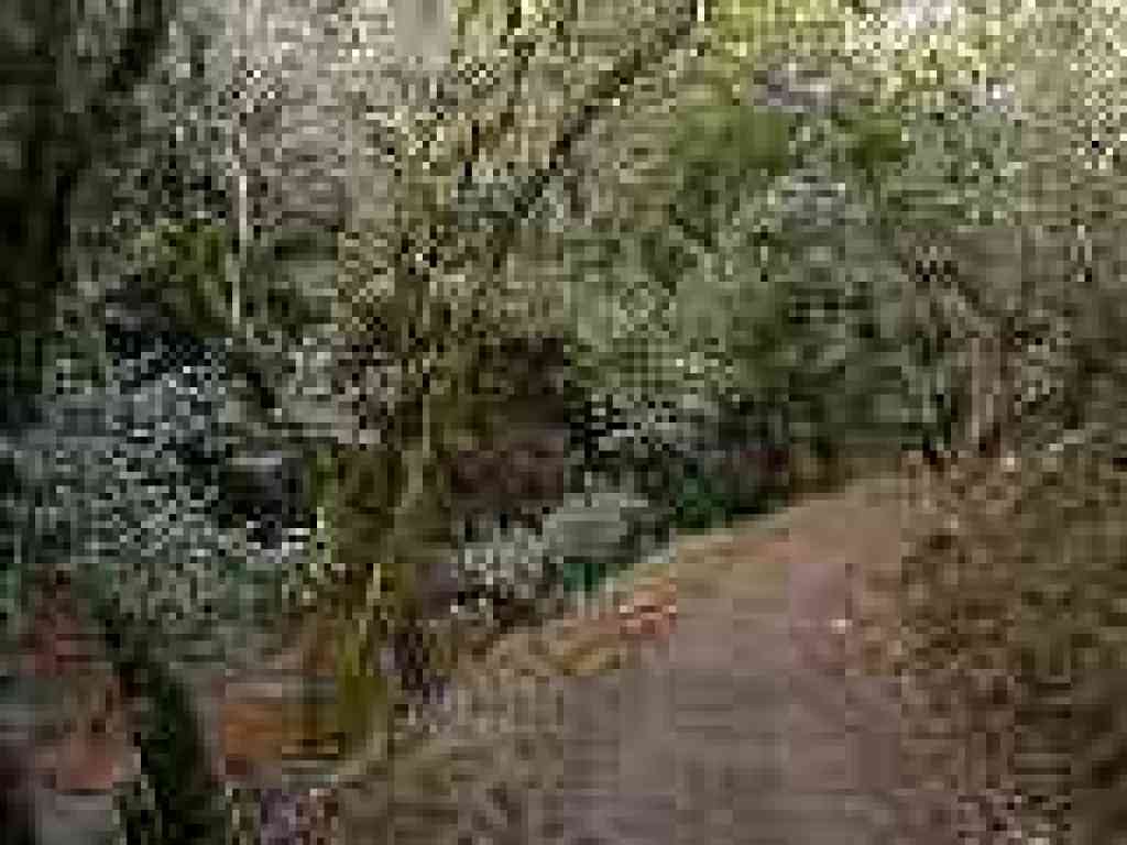 Photo of trail as it reaches canyon floor