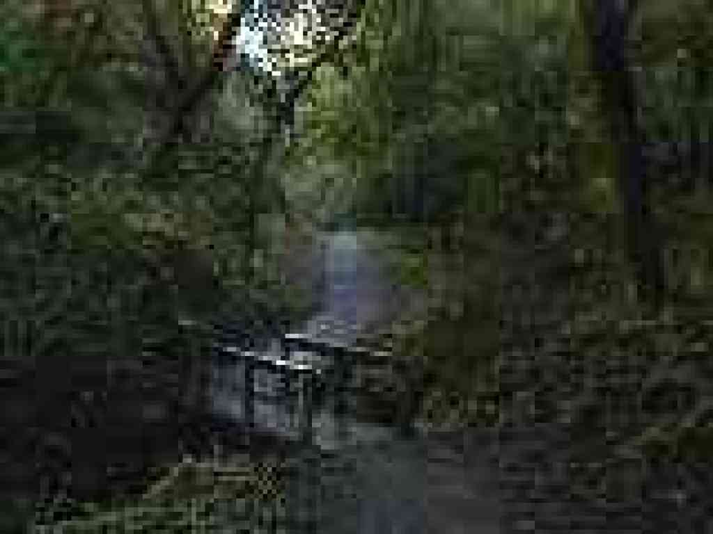 Photo of a creek crossing
