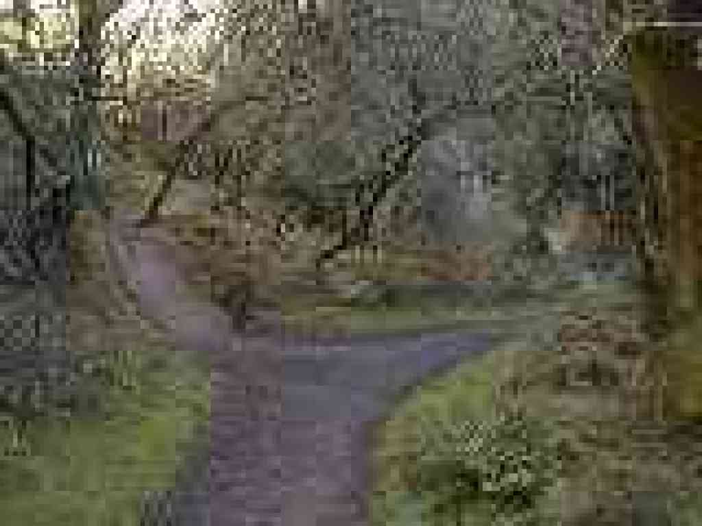 Photo of junction with Wildcat Loop Trail