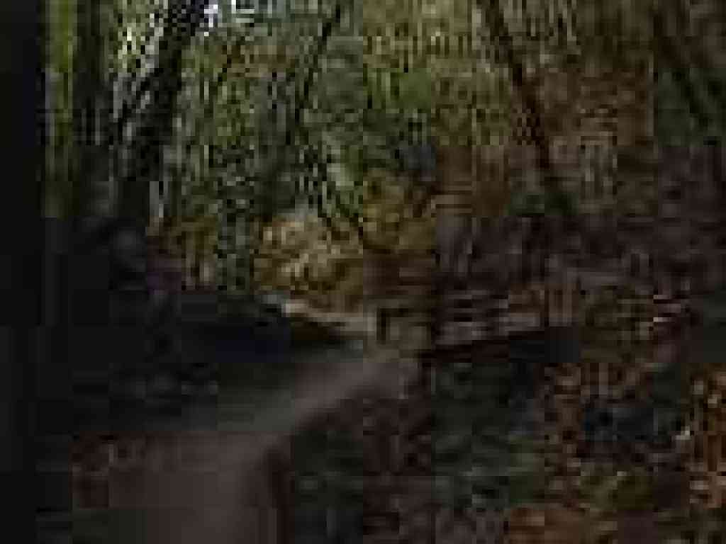Photo of creek crossing