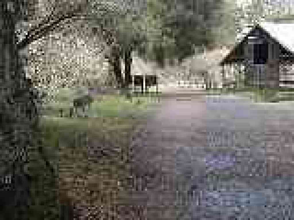 Photo of deer at farm