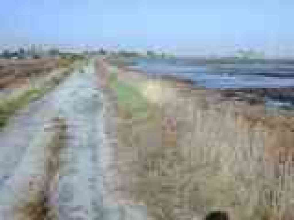 Along the marsh