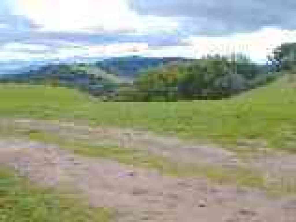 View to Skyline Ridge