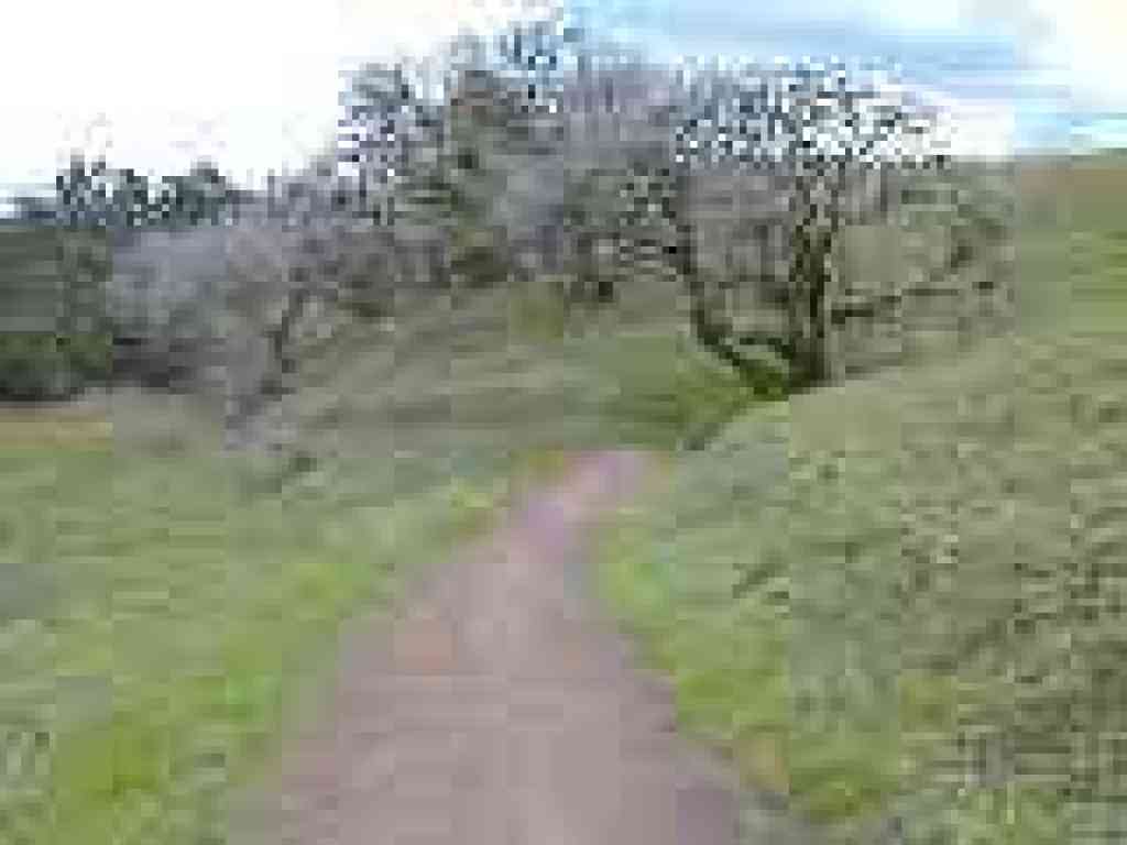 Returning to the trailhead