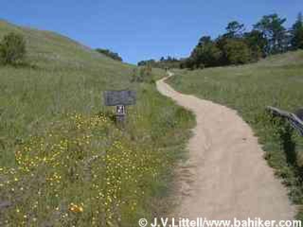Starting out from the trailhead