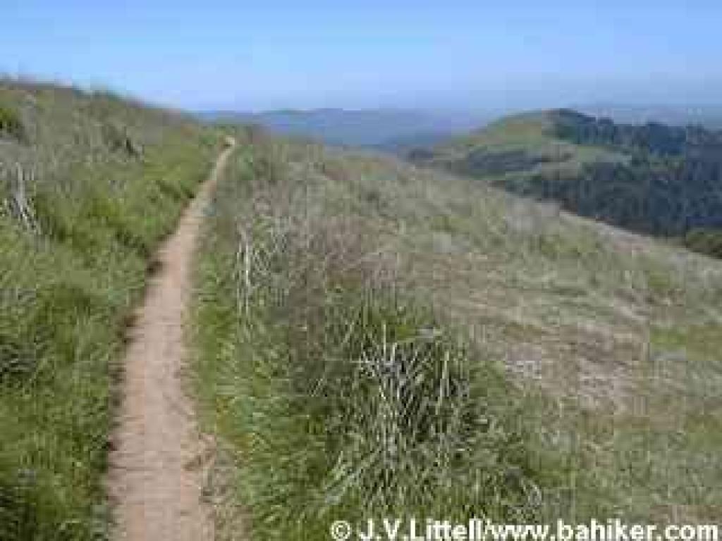 Ridge Trail
