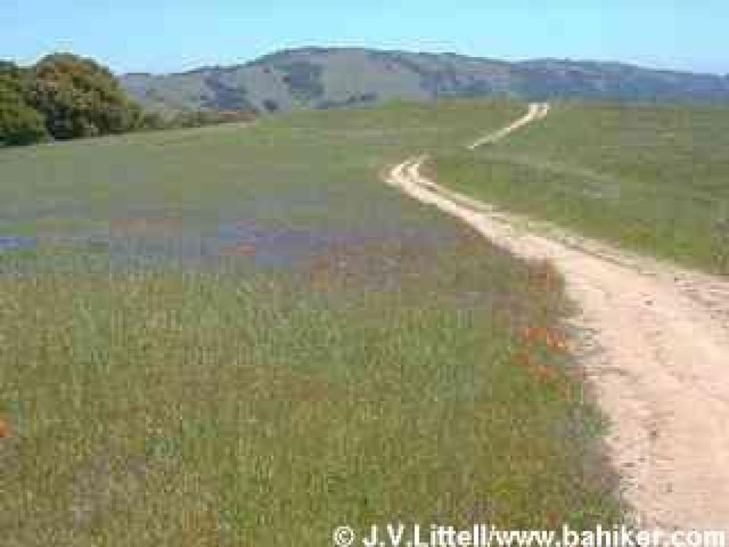 Returning on Ridge Trail