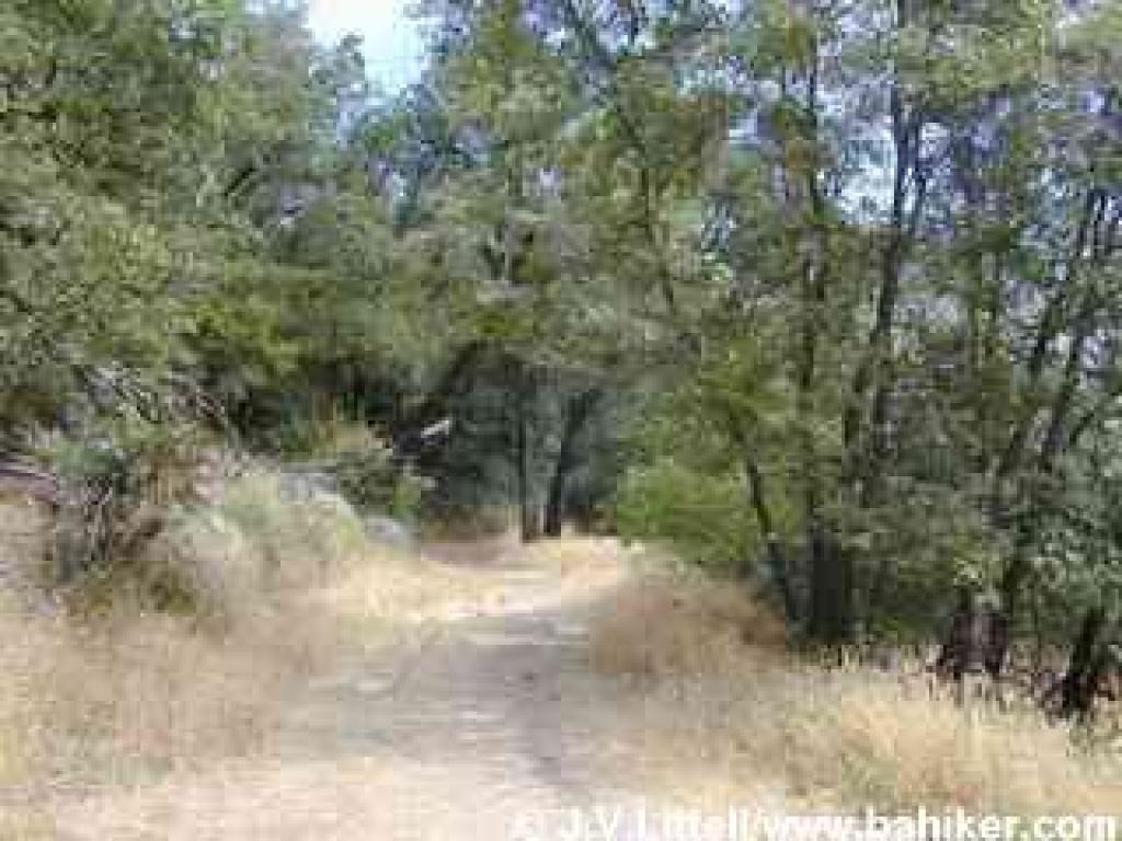 Skyline Trail