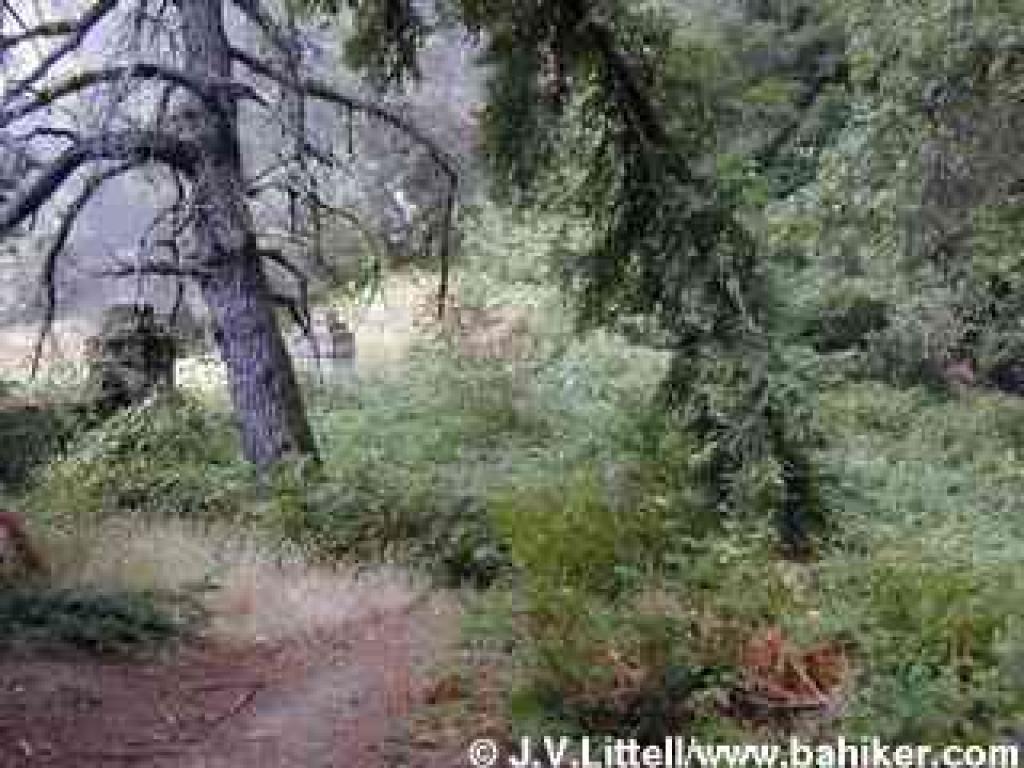 An old fence near Skyline Boulevard
