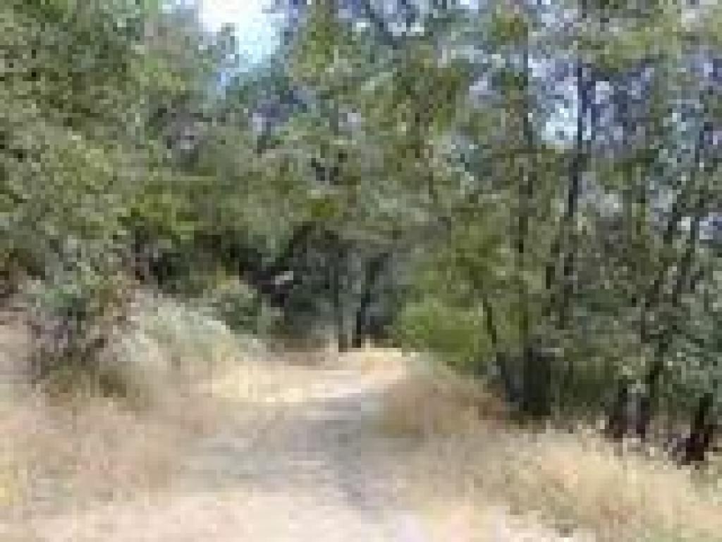 Skyline Trail