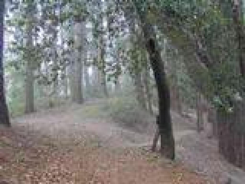 A path feeds in from Skyline Boulevard