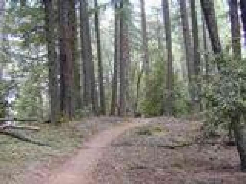 Approaching Indian Rock Trailhead