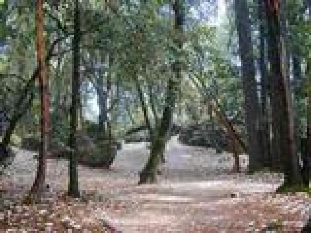 Indian Rock area