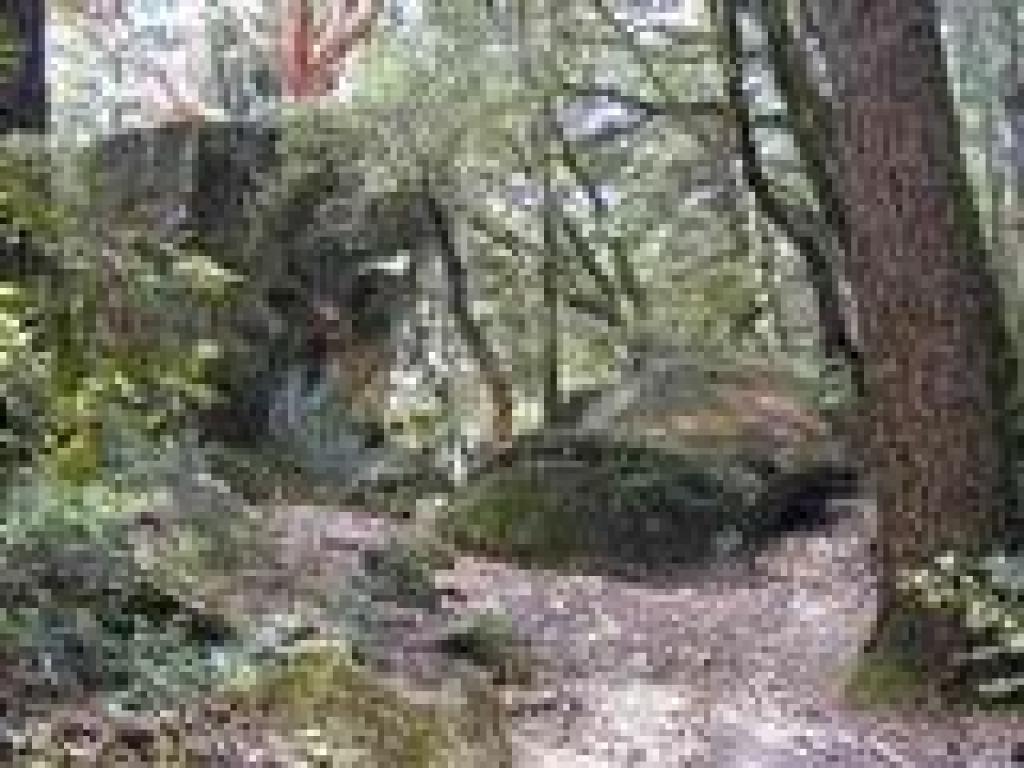 Skirting a sandstone boulder